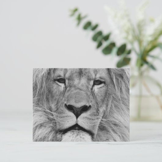 Lion Postkarte (Stehend Vorderseite)