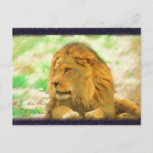 Lion-Postkarte Postkarte (Vorderseite)