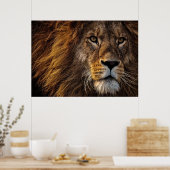 Lion Predator Lion Poster (Küche)