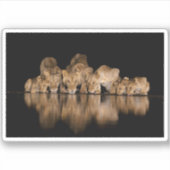 Lion Pride Drinks at the Water Hole at Night Aufkleber (Vorderseite)