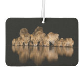 Lion Pride Drinks at the Water Hole at Night Autolufterfrischer (Rückseite)