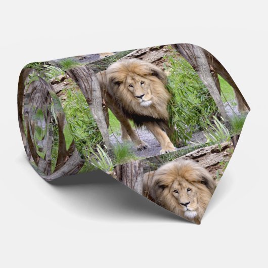 Lion Print Men's Necktie Krawatte (Gerollt)