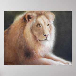 Lion Print Poster