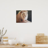 Lion Print Poster (Küche)