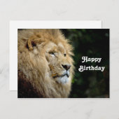 Lion Profile Wildlife Foto Birthday Postkarte (Vorne/Hinten)