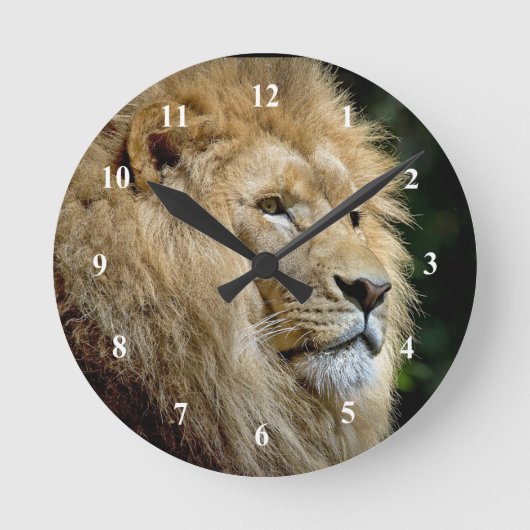 Lion Profile Wildlife Foto Runde Wanduhr (Vorderseite)