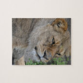 Lion Puzzle (Horizontal)