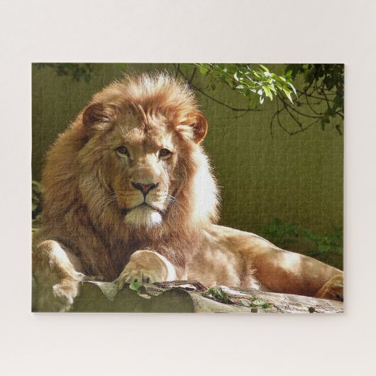 Lion Puzzle (Horizontal)