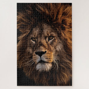Lion Puzzle