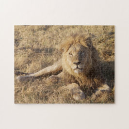 Lion Puzzle