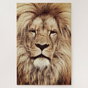 Lion Puzzle Foto