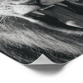 Lion Rage Black und White Roar Poster (Ecke)