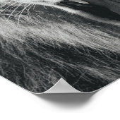 Lion Rage Black und White Roar Poster (Ecke)