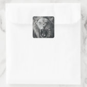 Lion Rage Black und White Roar Quadratischer Aufkleber (Tasche)