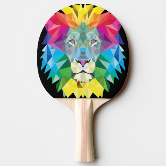 Lion Rainbow Tischtennis Schläger (Rückseite)