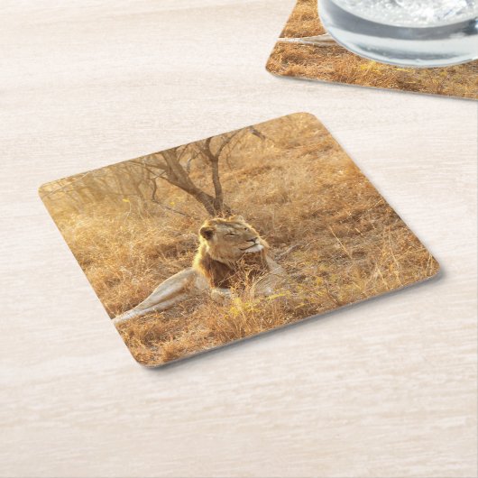 Lion Rechteckiger Pappuntersetzer (angewinkelt)