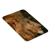 LION Refrigerator Magnet YOUR Photo Template (Rechte Seite)