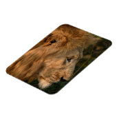 LION Refrigerator Magnet YOUR Photo Template (Linke Seite)