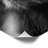 Lion Remember Who You Are Fotodruck (Ecke)