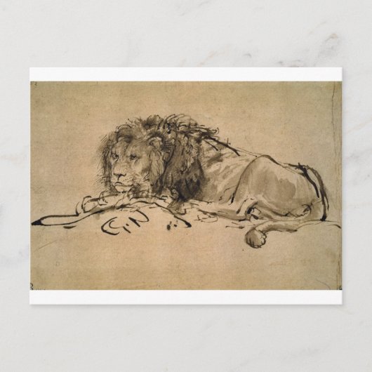 Lion Resting von Rembrandt Postkarte (Vorderseite)