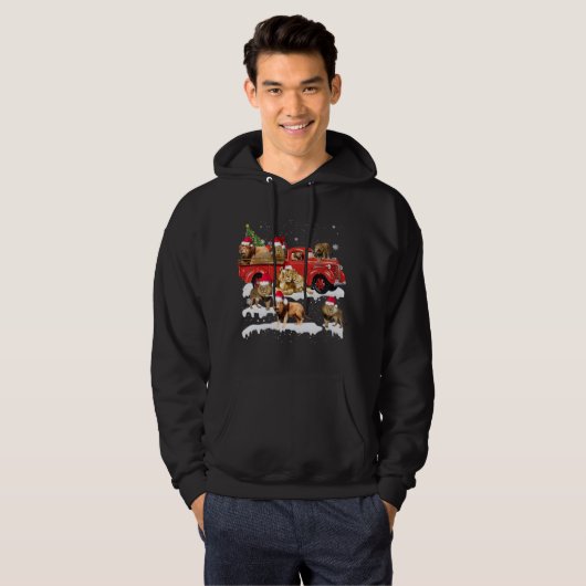Lion Riding Red Truck Frohe Weihnachts X-mas Ugly  Hoodie (Vorne ganz)