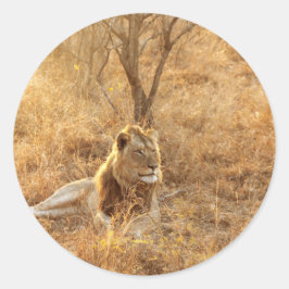 Lion Runder Aufkleber