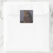 Lion Running Quadratischer Aufkleber (Tasche)