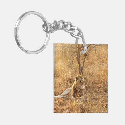 Lion Schlüsselanhänger (Vorderseite links)