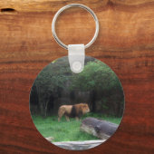 Lion Schlüsselanhänger (Vorderseite)