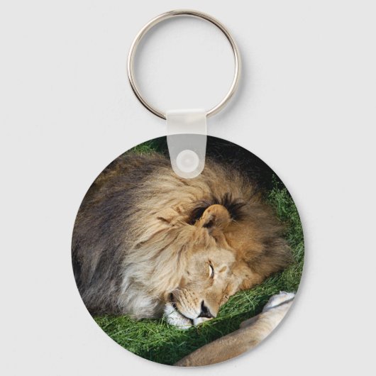 Lion Schlüsselanhänger (Vorderseite)