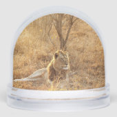 Lion Schneekugeln (Vorderseite)