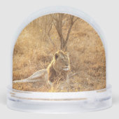 Lion Schneekugeln (Rückseite)