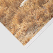 Lion Seidenpapier (Ausschnitt)