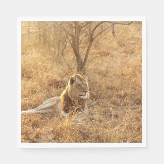 Lion Serviette (Vorderseite)