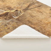 Lion Sherpa Blanket Sherpadecke (3/4)