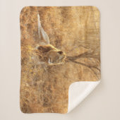 Lion Sherpa Blanket Sherpadecke (Vorderseite)