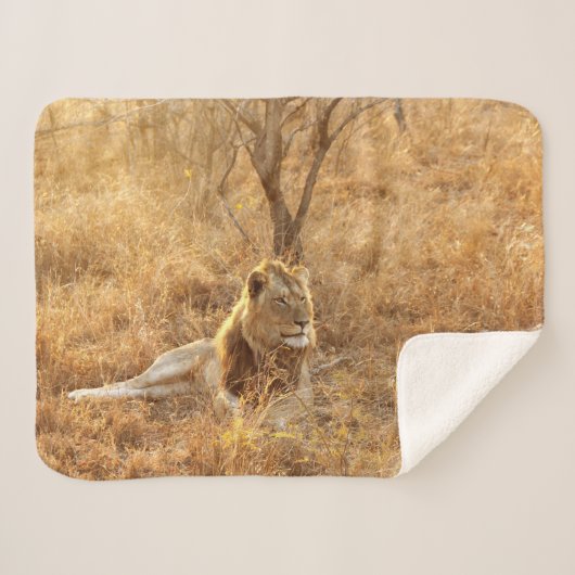 Lion Sherpa Blanket Sherpadecke (Vorderseite (Horizontal))