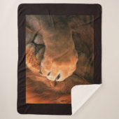 Lion Sherpadecke (Vorderseite)