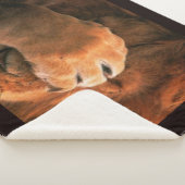 Lion Sherpadecke (3/4)