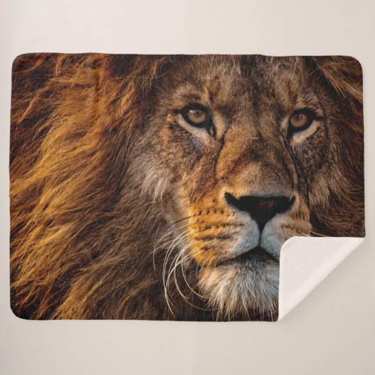 Lion Sherpadecke (Vorderseite (Horizontal))