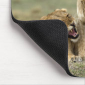 Lion Siblings Mousepad (Ecke)