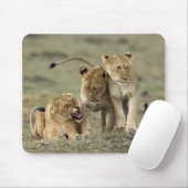 Lion Siblings Mousepad (Mit Mouse)