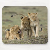 Lion Siblings Mousepad (Vorne)