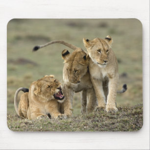 Lion Siblings Mousepad