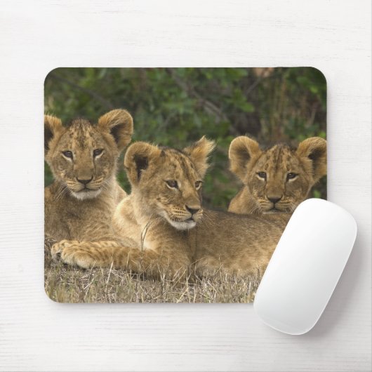 Lion Siblings Mousepad (Mit Mouse)