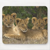 Lion Siblings Mousepad (Vorne)