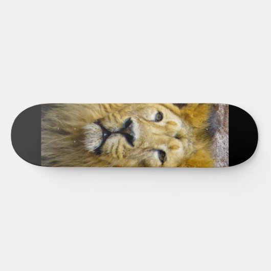 Lion Skateboard (Horizontal)