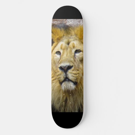 Lion Skateboard (Vorderseite)