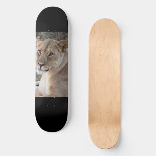 Lion Skateboard (Vorderseite)