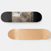 Lion Skateboard (Horizontal)